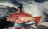 Big red snapper caught by this fisher gal on a sportfishing charter with New Lattitude Sportfishing.